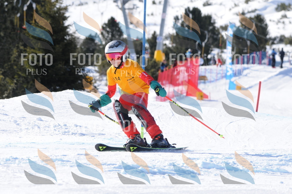 C7135 | holidayphoto