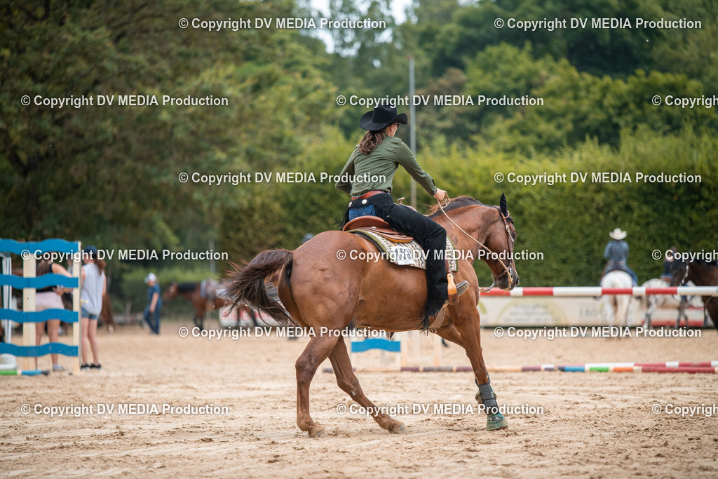 ZS2_8361 | dv-media-shop - Realisiert mit Pictrs.com