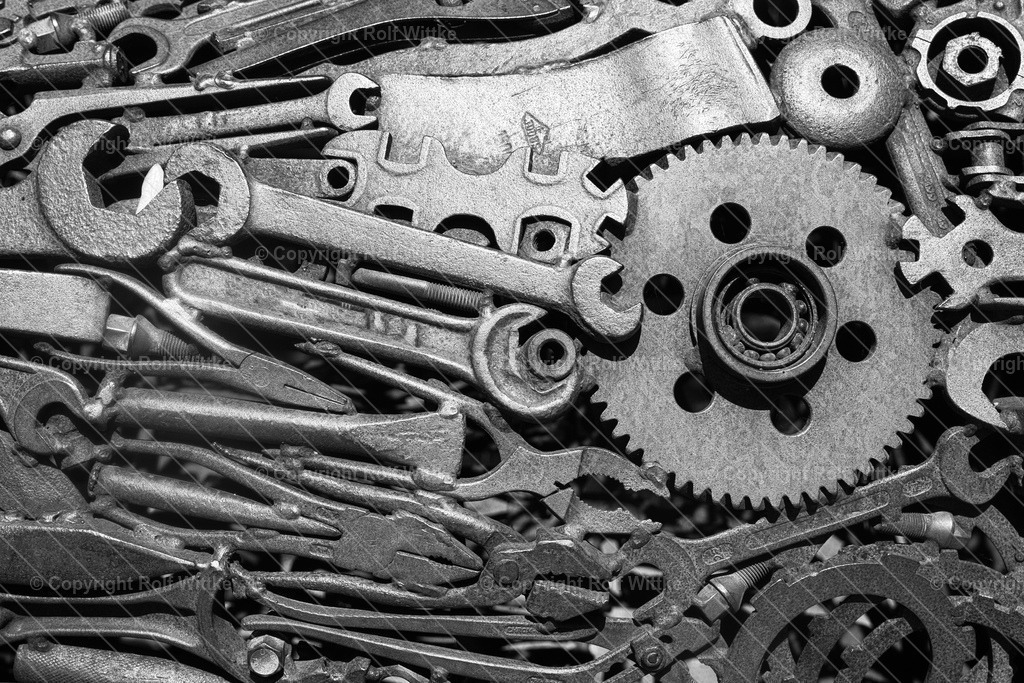 1D3A6779 | Rolf Wittke  - Realisiert mit Pictrs.com