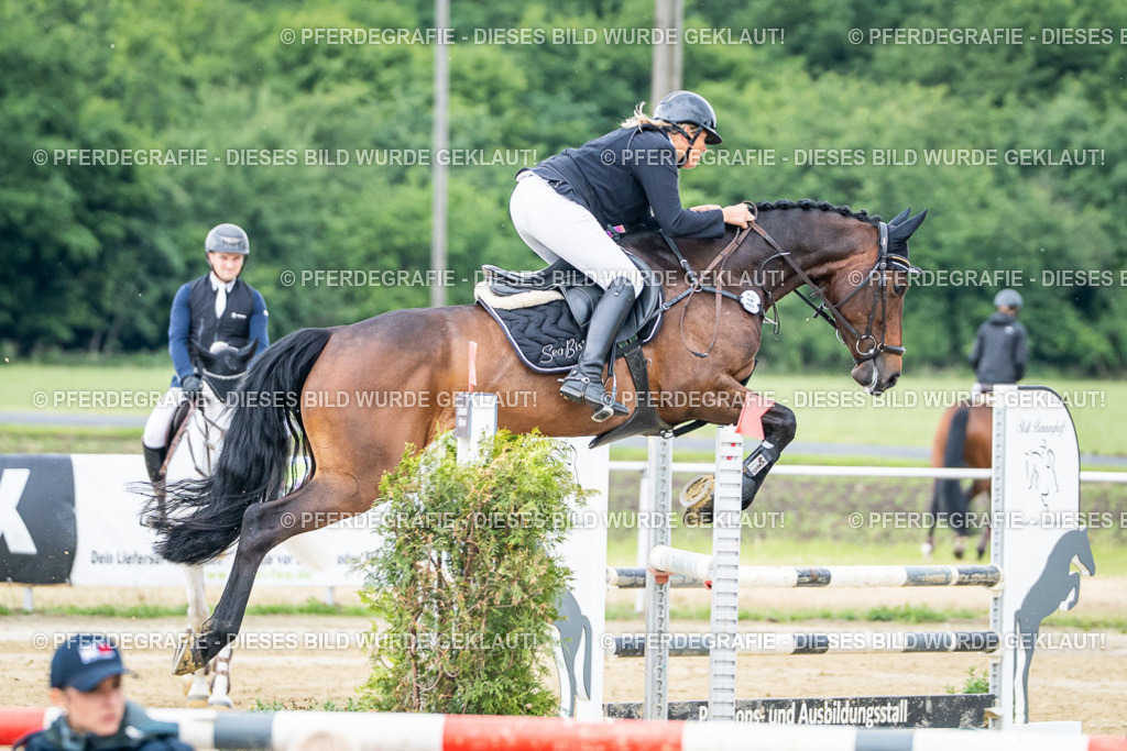 DSC04188 | Pferdegrafie