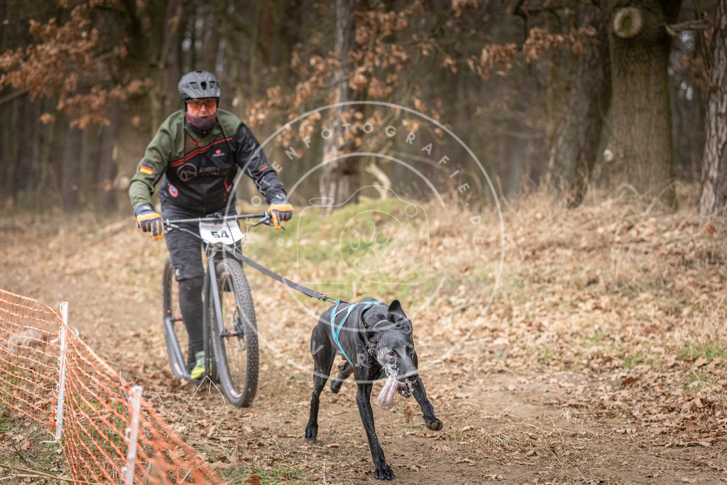 Pfotenfotografie_DV3A1507 | Hundefotografie, Tierfotograf, Pfotenfotografie, Fotoshooting Hund, Hunde Portrait, Hundesport, Hundeportraits, Heideshooting, Hunde, Sportfotograf, Hundefotograf, Turnierhundsport, THS,  - Realisiert mit Pictrs.com