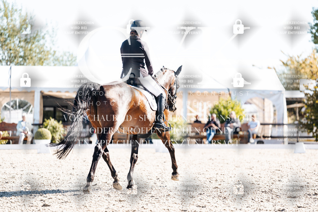 CK908719 | Turnierfotografie Pferdefotografie Trier Rheinland-Pfalz Pferdesport Reitsport Tierfotografie Sportfotografie Pferdevideo Pferdevideografie Equestrianvideography equestrianphotography  - Realisiert mit Pictrs.com