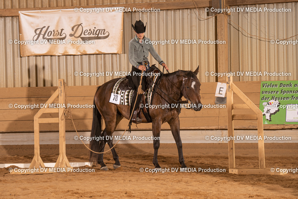 NID00781 | dv-media-shop - Realisiert mit Pictrs.com