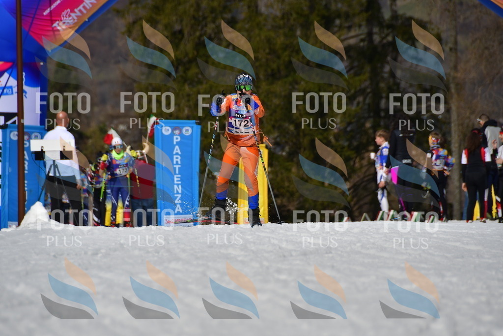 _DSC0613 | holidayphoto