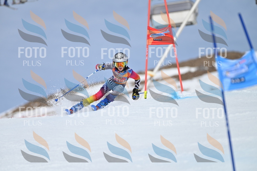 BGV_1285 | holidayphoto