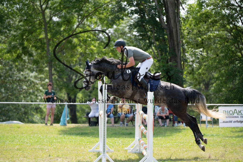 A7V07312 | Pferdefotograf