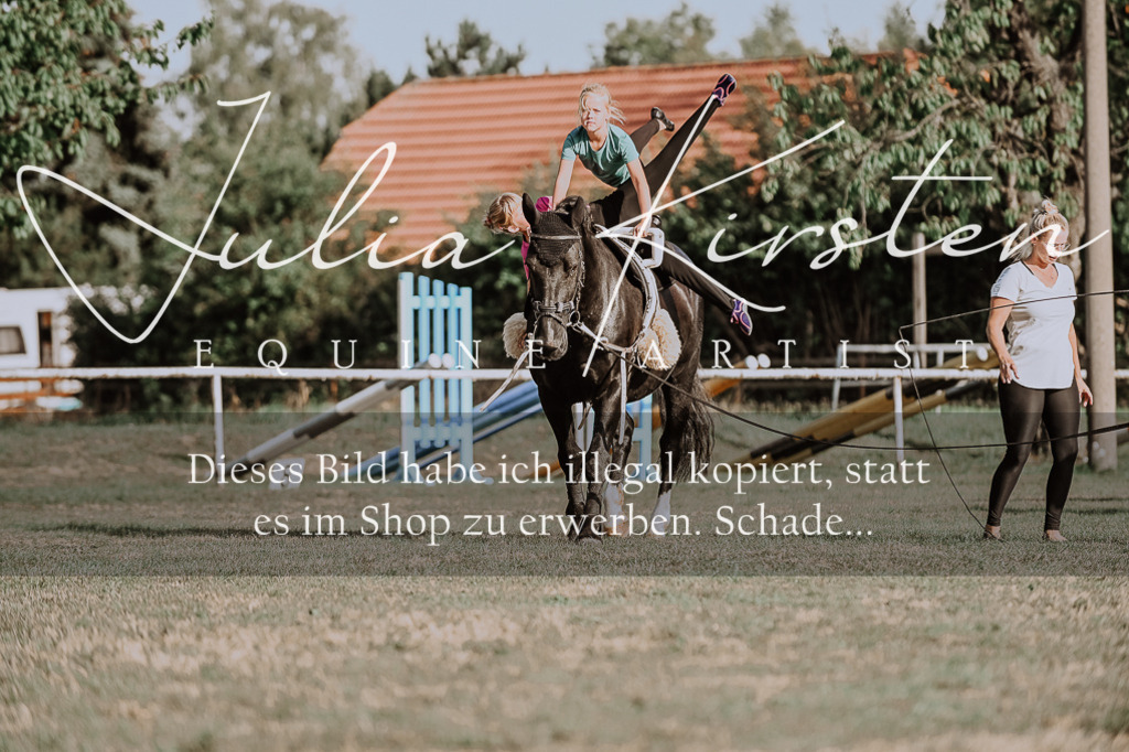 DSC_9944 | Pferde- und Turnierfotografie in Westsachsen. Pferdeportraits, Auftragszeichnungen und intuitive Kunst.