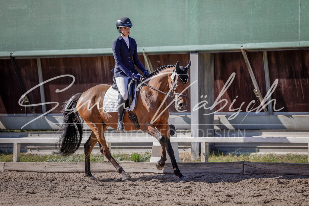 20250906-_3LI3569 | Tierfotografie Pferde, Hunde, Katzen, Haustiere.
Turnierfotografie Reitturniere, Reiten, Springreiten, Dressur in Hanau, dem Main-Kinzig-Kreis und dem Rhein-Main- Gebiet um Frankfurt