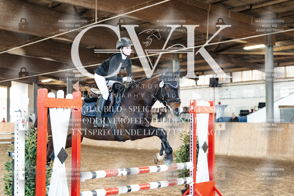 CK903790 | Turnierfotografie Pferdefotografie Trier Rheinland-Pfalz Pferdesport Reitsport Tierfotografie Sportfotografie Pferdevideo Pferdevideografie Equestrianvideography equestrianphotography  - Realized with Pictrs.com