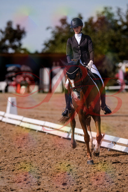 2026_10_03_Siefer-Hof_133220_Z81_88681009 | Professionelle Reitsport-, Turnier- und Eventfotografie von Robert Broda. Galerien mit ausgewählten und bearbeiteten Bildern direkt online ansehen und bestellen.