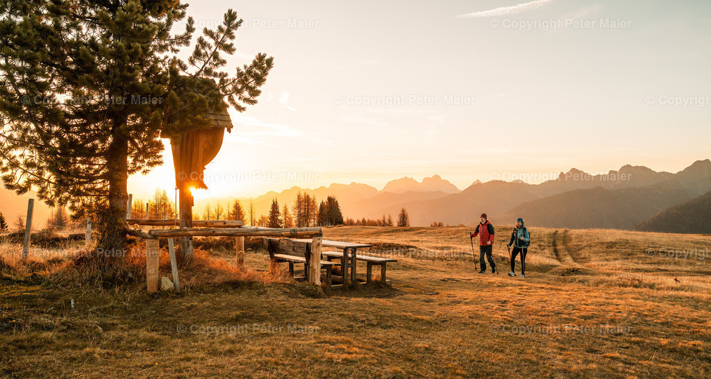 Samalm_Herbst_Lesachtal_2022-1342-Bearbeitet | piet_flosse