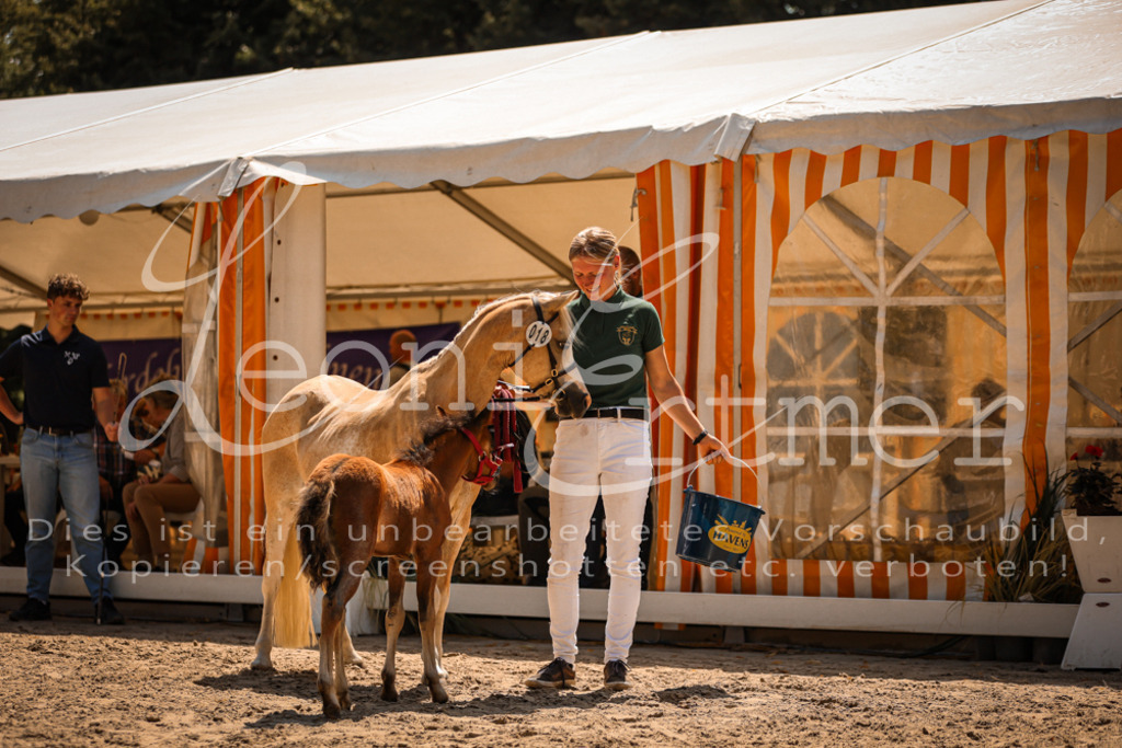 04.DoWP00101 | Leoni Ertmer Photography - Realisiert mit Pictrs.com