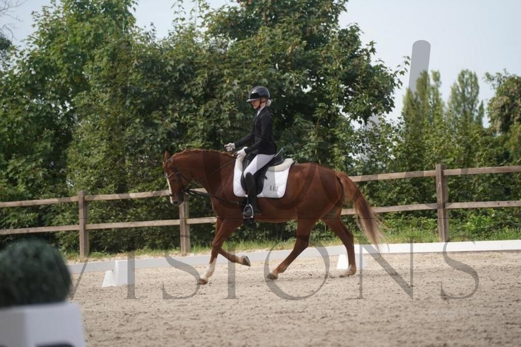 tgbhsamstag (649) | d.tail Visions - Shop - Realisiert mit Pictrs.com