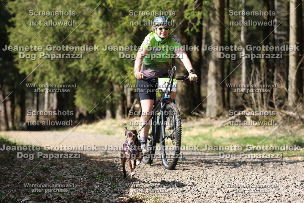 Dog Paparazzi - VCC26-240 | Dog Paparazzi Jeanette Grottendiek Fotografie & Videografie - Realisiert mit Pictrs.com