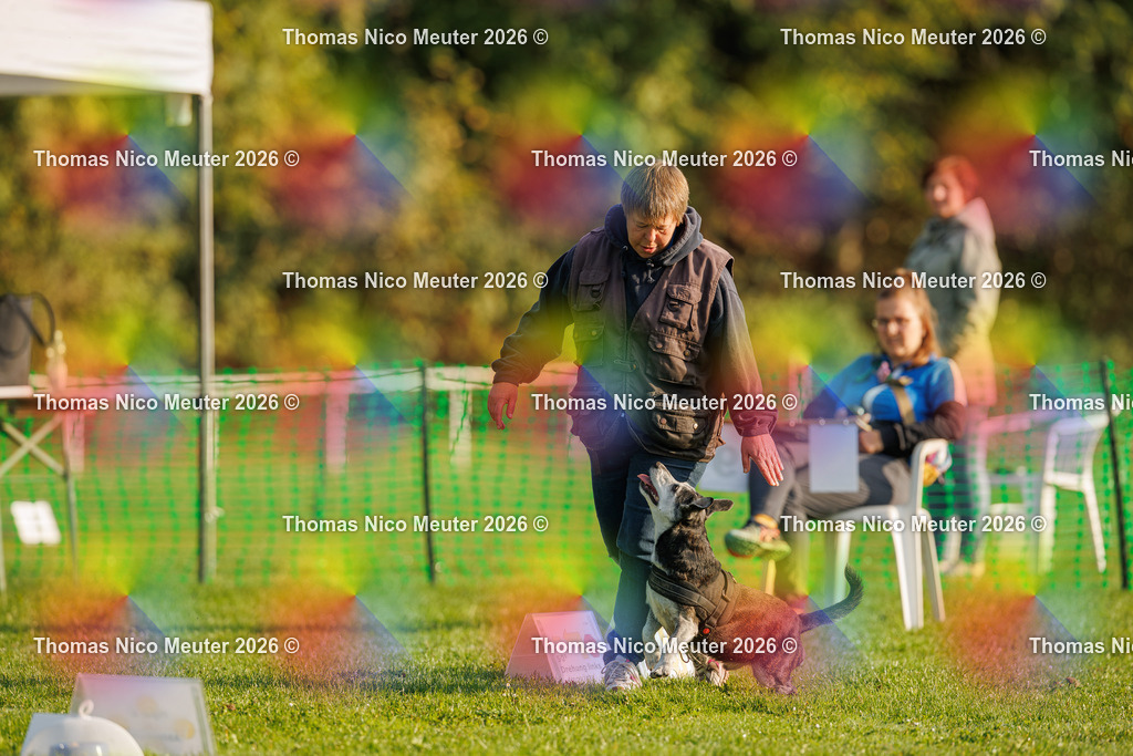 Thomas_Nico_Meuter(C)_04. Oktober 2026_223A0086 | Bild von Thomas Nico Meuter - Realisiert mit Pictrs.com