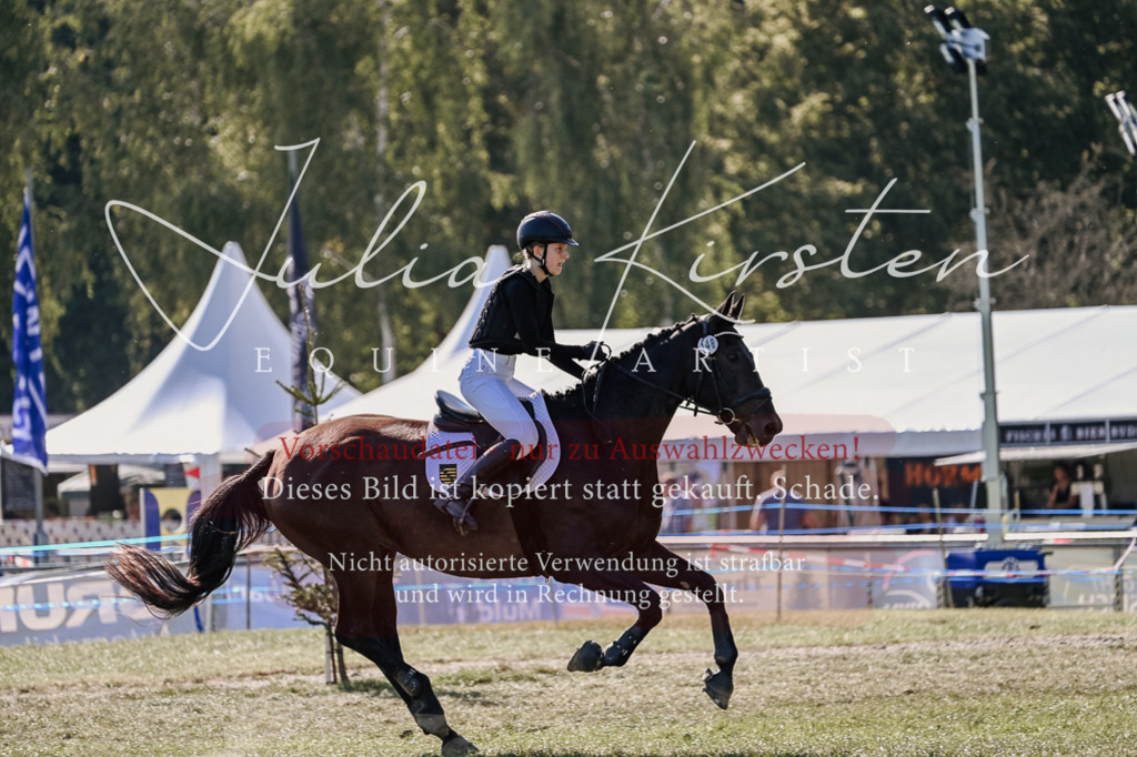 DSC_3406 | Pferde- und Turnierfotografie in Westsachsen. Pferdeportraits, Auftragszeichnungen und intuitive Kunst.