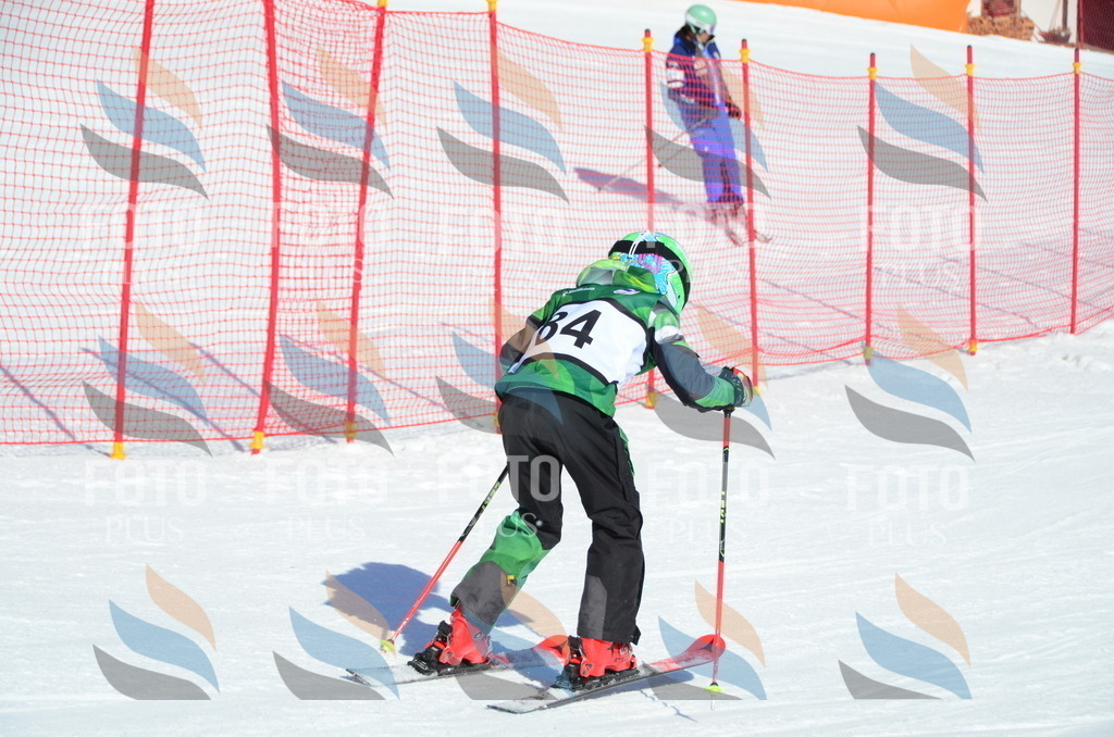 C5619 | holidayphoto