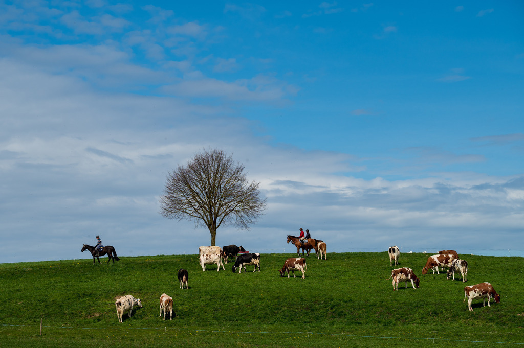 Freiheit | Die schönsten Bilder für Ihre Räume online bestellen! In unseren Bildergalerien findet Sie alles was es für Ihre Räume braucht. Lassen Sie sich überraschen ☺️ - Realisiert mit Pictrs.com
