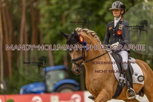28-8-26 5j DRE-1562 | mandyhollmannphotographie