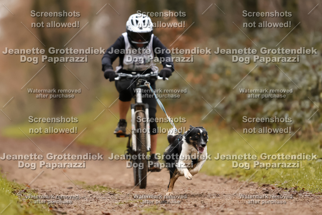 Dog Paparazzi - Speedhunter Mannheim  2025-367 | Dog Paparazzi Jeanette Grottendiek Fotografie & Videografie