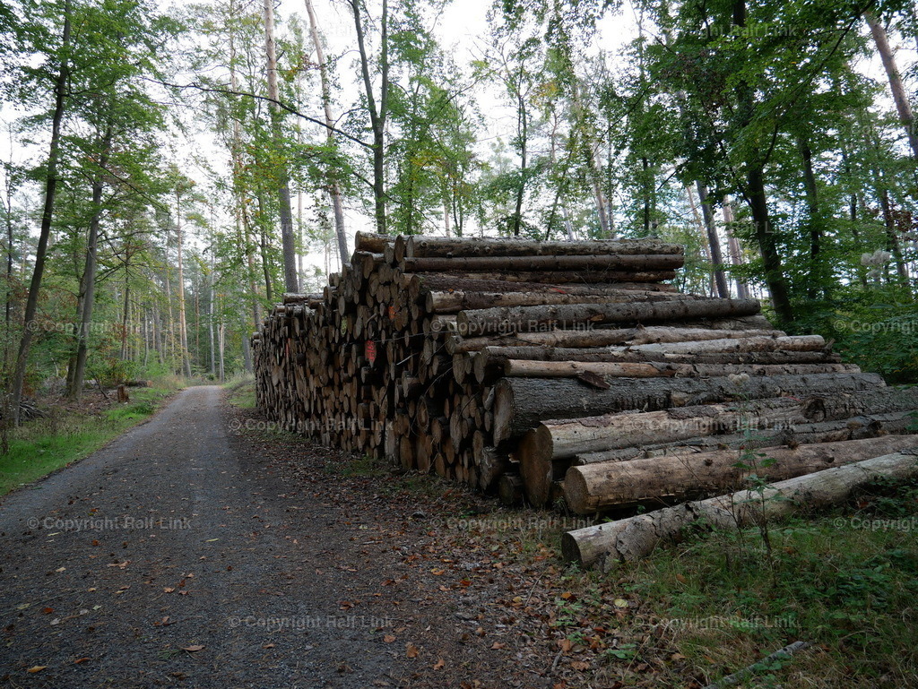 P1000444 | Stockfotos, Fotos mit Miniaturfiguren und kreativen Ideen. Dabei auch vieles aus der Metropolregion Rhein-Neckar. 