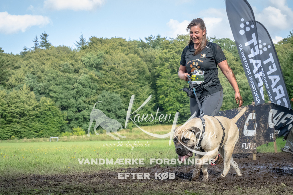 1713_ZZ91502-Bearbeitet | kk-dogfotos