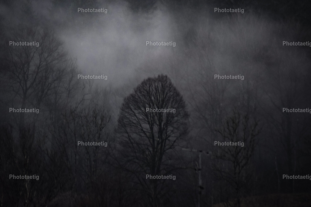 IMG_5958 | phototaetig