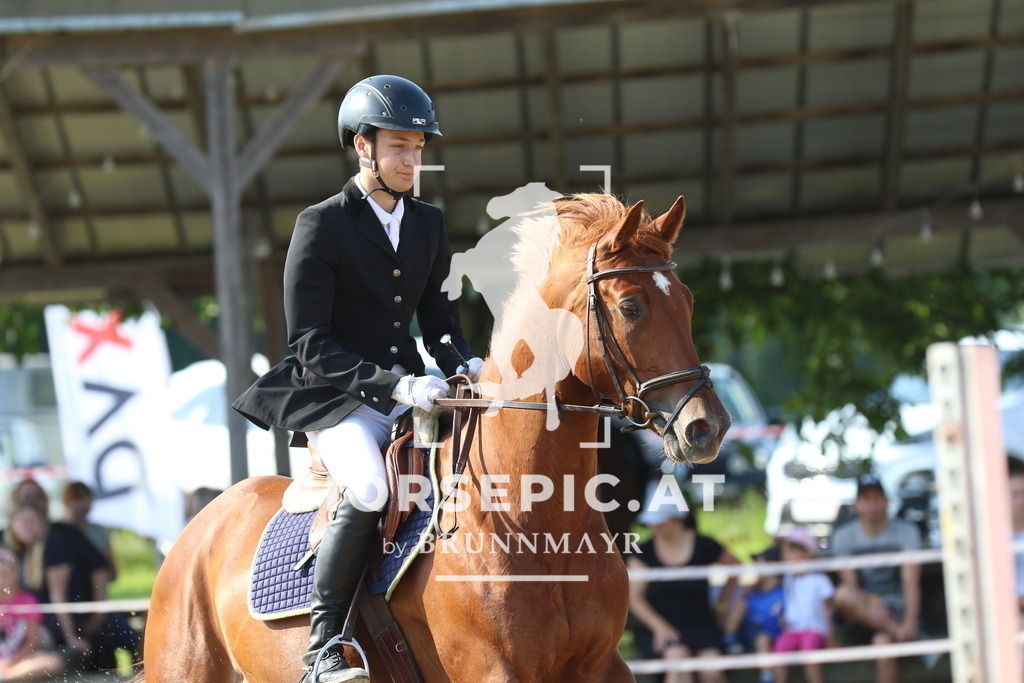 7V2A2601 | Willkommen bei Brunnmayr - Design & Fotografie – Ihrem Spezialisten für Reitturniere und Pferdeveranstaltungen in Oberösterreich, Salzburg und Bayern! Seit über 17 Jahren sind wir leidenschaftlich dabei.