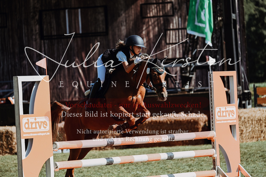 DSC_6859 | Pferde- und Turnierfotografie in Westsachsen. Pferdeportraits, Auftragszeichnungen und intuitive Kunst.