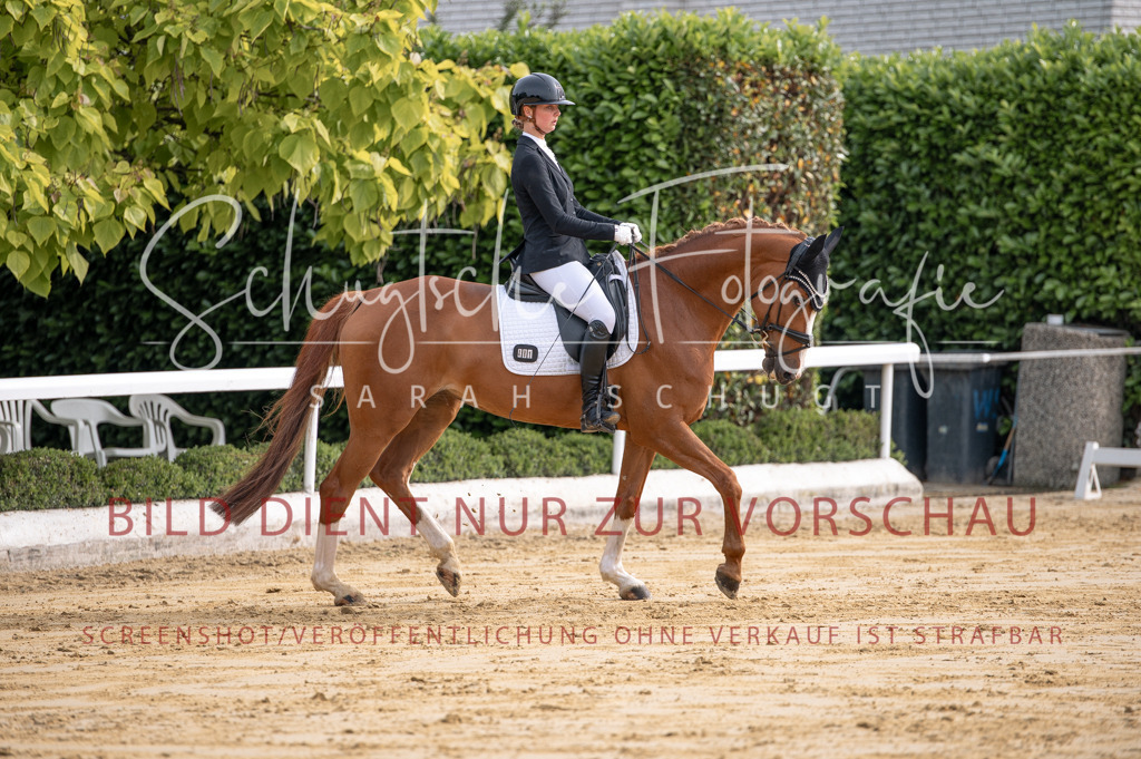 Schugtsche-Aluta25-40.DressurprfA_-109 | Schugtsche Fotografie - Realisiert mit Pictrs.com