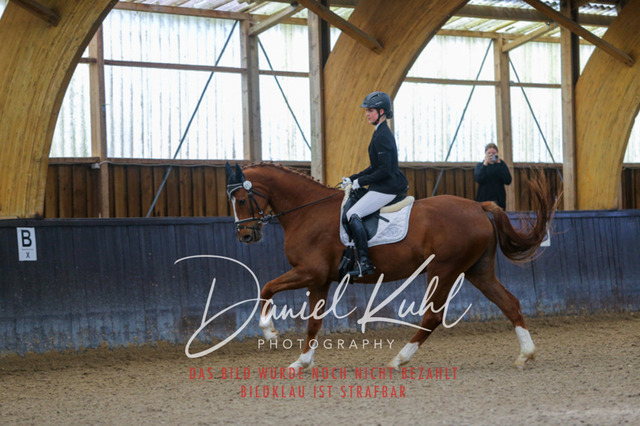 IMG_0216 | Turniersportfotografie; Pferdefotografie; Dressurfotografie