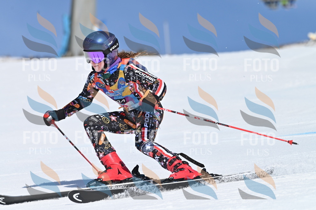 BGV_8969 | holidayphoto