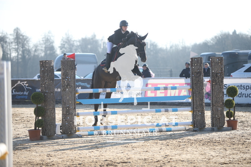 AS8V4695 | Willkommen bei Brunnmayr - Design & Fotografie – Ihrem Spezialisten für Reitturniere und Pferdeveranstaltungen in Oberösterreich, Salzburg und Bayern! Seit über 17 Jahren sind wir leidenschaftlich dabei.