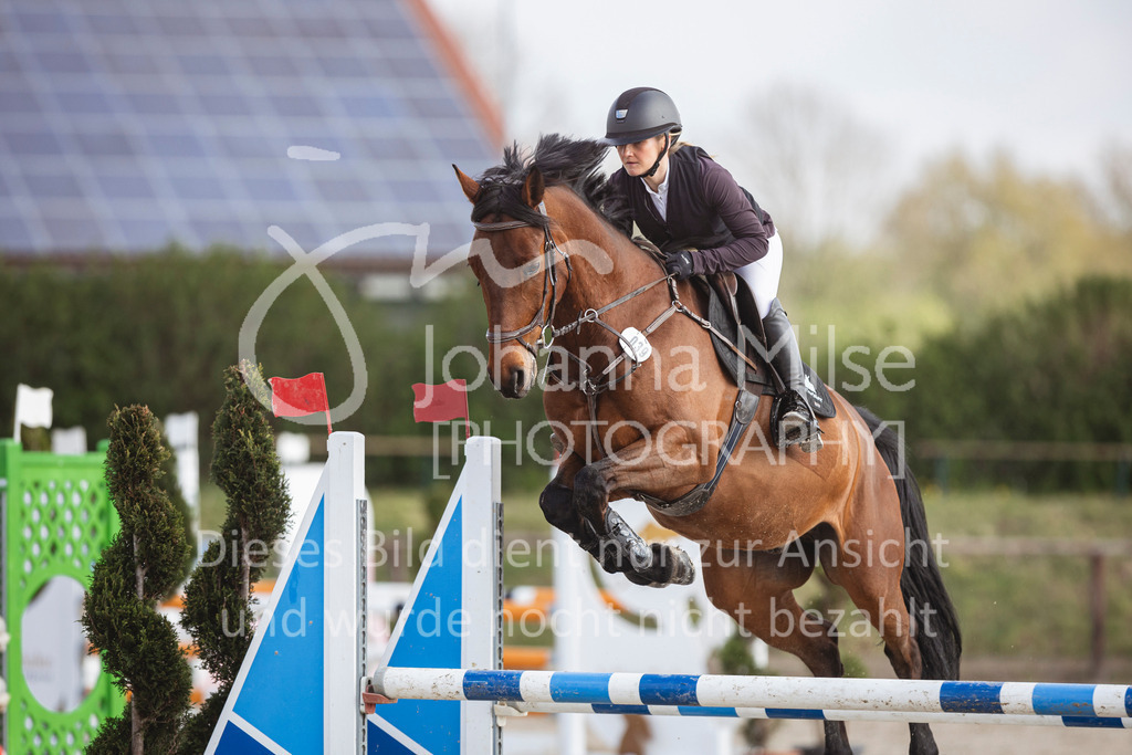 250419_Frühlingsfest_Springpf-L-337 | Deine schönsten Turniermomente als professionelle Fotos! Entdecke hochwertige Pferdesport-Fotografie im Online-Shop. Jetzt Fotos finden & bestellen!