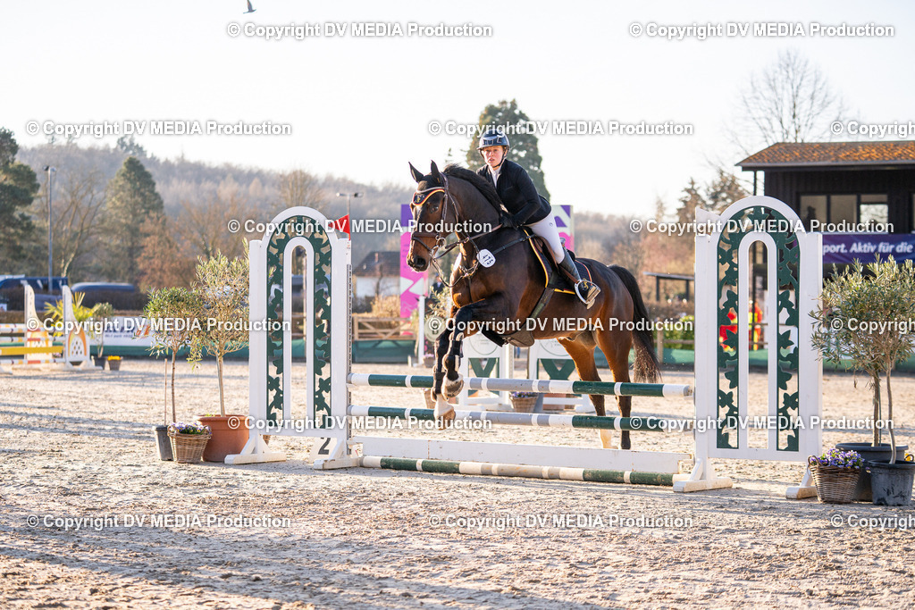 DSC-222 | dv-media-shop - Realisiert mit Pictrs.com