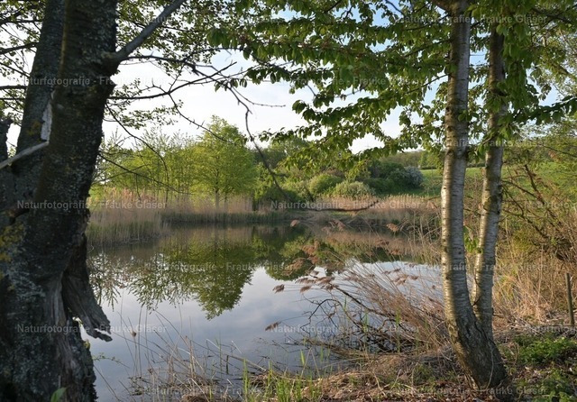 DSC_7757 | Naturfotografie Frauke Gläser - Realisiert mit Pictrs.com