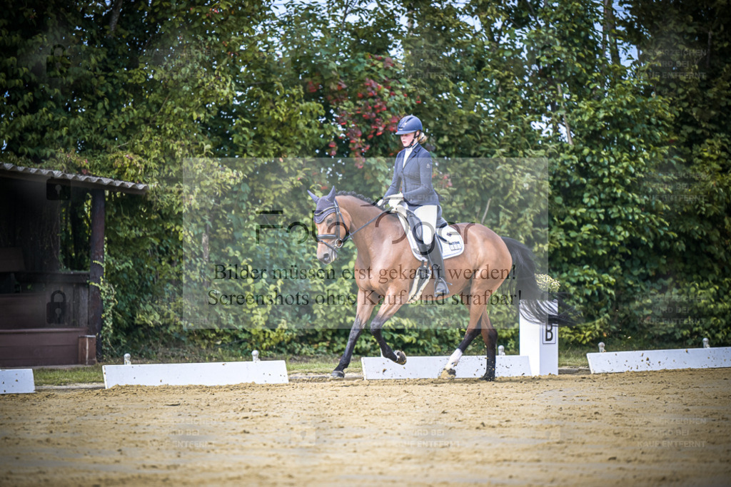DOS_5076 | Entdecke hochwertige Reitturnierfotos von Foto Oger. Professionell, emotional und authentisch – jetzt Lieblingsmomente im Shop bestellen. - Realisiert mit Pictrs.com