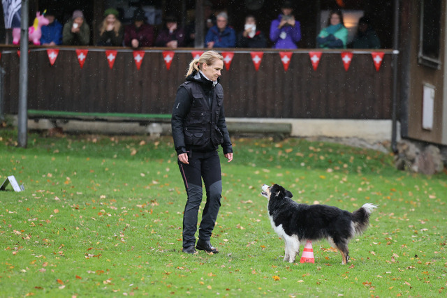 2025_Rally_Obedience_SM-19 | Ich fotografiere Hundeausstellungen, Sportanlässe, Zuchtstätten, Hundezucht, Hundeportrait, Lagotto - Realisiert mit Pictrs.com