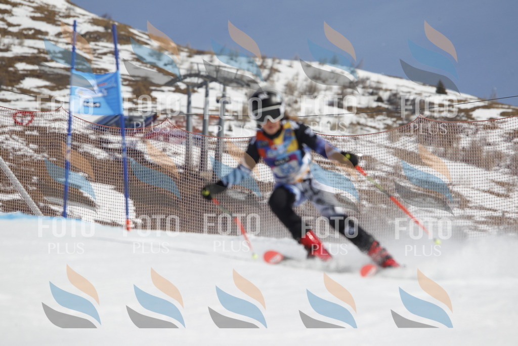 _U3G0121 | holidayphoto