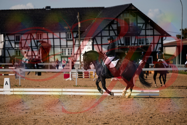 2026_10_03_Siefer-Hof_120756_Z63_36955951 | Professionelle Reitsport-, Turnier- und Eventfotografie von Robert Broda. Galerien mit ausgewählten und bearbeiteten Bildern direkt online ansehen und bestellen.