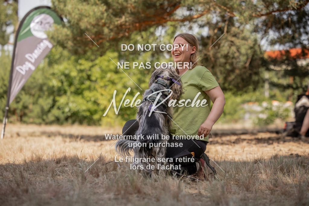 nelerasche_soDD2_354 | nelerasche