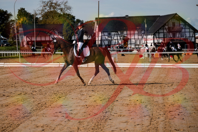 2026_10_03_Siefer-Hof_114729_Z63_26414897 | Professionelle Reitsport-, Turnier- und Eventfotografie von Robert Broda. Galerien mit ausgewählten und bearbeiteten Bildern direkt online ansehen und bestellen.