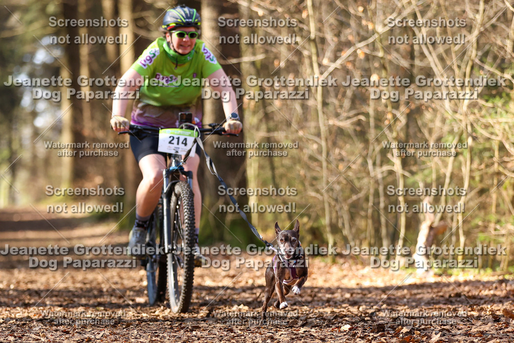 Dog Paparazzi - VCC26-1078 | Dog Paparazzi Jeanette Grottendiek Fotografie & Videografie - Realisiert mit Pictrs.com