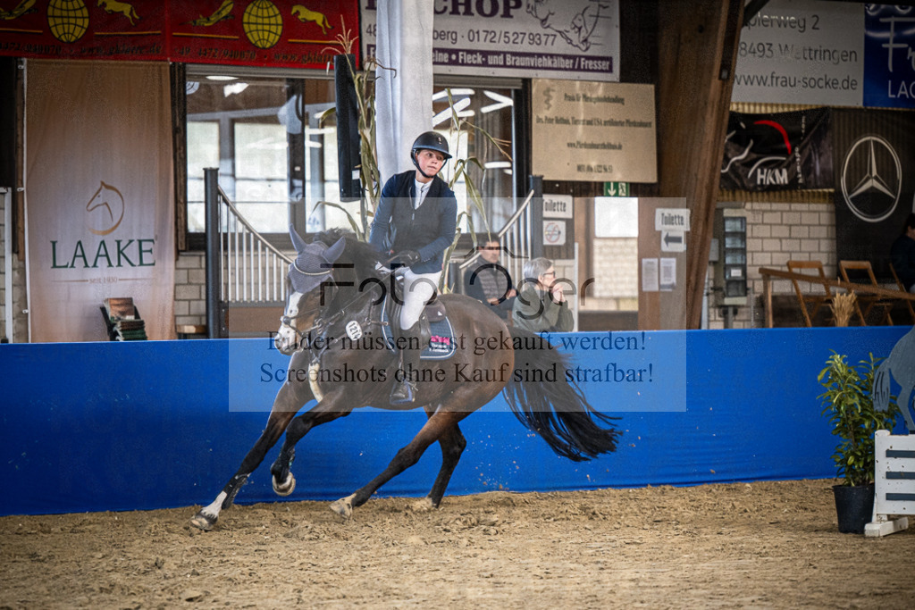 DOS_1404 | Entdecke hochwertige Reitturnierfotos von Foto Oger. Professionell, emotional und authentisch – jetzt Lieblingsmomente im Shop bestellen.Deutschlandweite Turnierfotografie. - Realisiert mit Pictrs.com