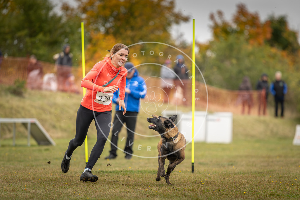 Pfotenfotografie_DV3A4117 | Hundefotografie, Tierfotograf, Pfotenfotografie, Fotoshooting Hund, Hunde Portrait, Hundesport, Hundeportraits, Heideshooting, Hunde, Sportfotograf, Hundefotograf, Turnierhundsport, THS,  - Realisiert mit Pictrs.com