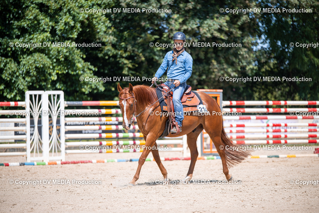 ZS1_1250 | dv-media-shop - Realisiert mit Pictrs.com