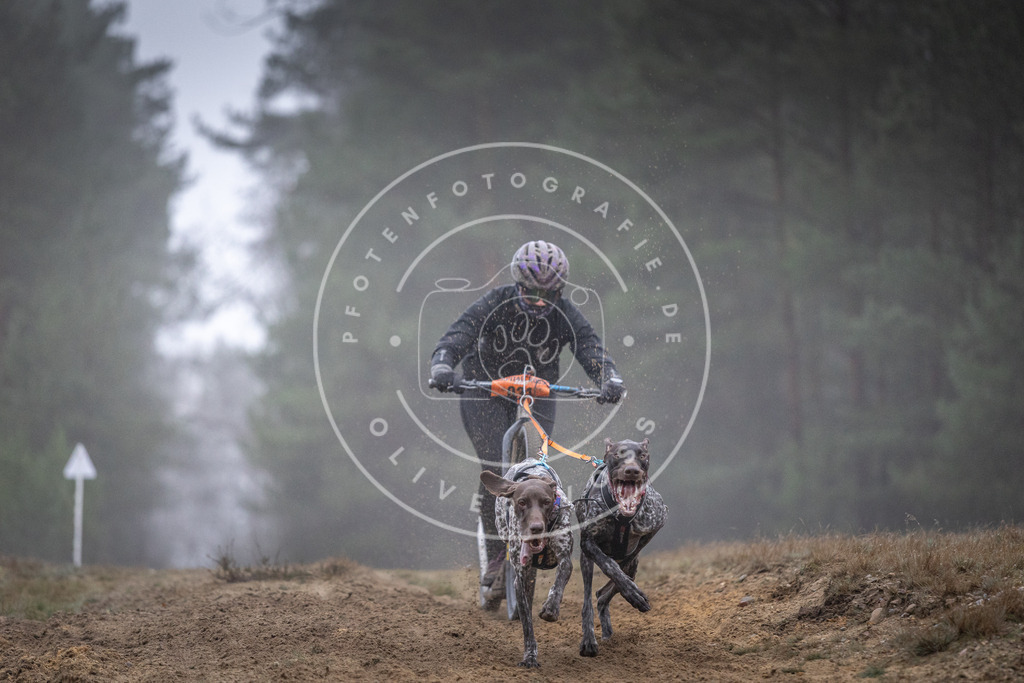 Pfotenfotografie_DV3A0725 | Hundefotografie, Tierfotograf, Pfotenfotografie, Fotoshooting Hund, Hunde Portrait, Hundesport, Hundeportraits, Heideshooting, Hunde, Sportfotograf, Hundefotograf, Turnierhundsport, THS,  - Realisiert mit Pictrs.com