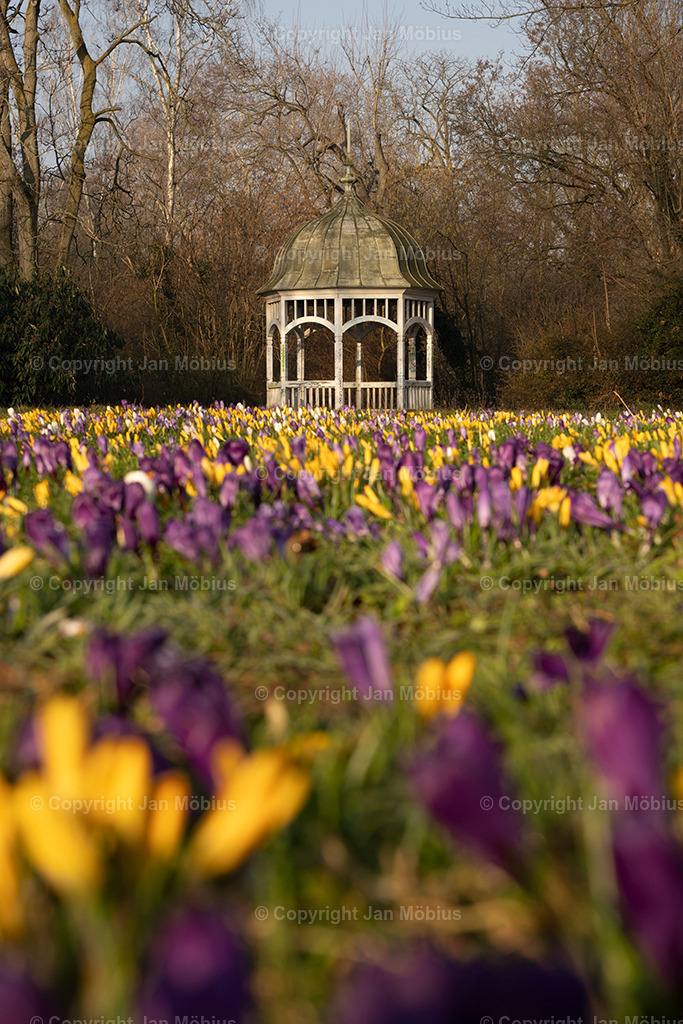 _DSC9993 | Leipzig Wandbilder Drucke Prints Leinwand Stadtmotive Leipzig Fotosdruck Kunstdrucke Bilder Leipzig Stadtansichten Acrylglasbilder Leipzig Wanddeko Fine Art Prints Wandbilder Büro Leipzig Bilder Praxis Zuhause Bilderdruck Poster Posterlounge Kunstdrucke - Realisiert mit Pictrs.com