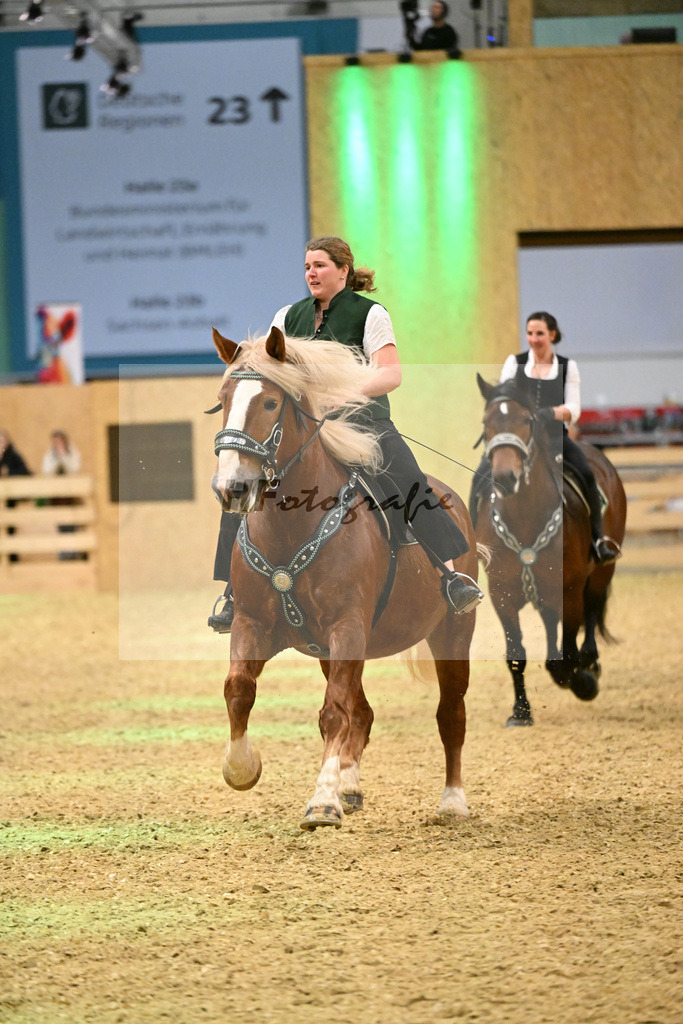 Schauprogramm_Dressurquadrille_1261121 | hf-fotografie - Realisiert mit Pictrs.com