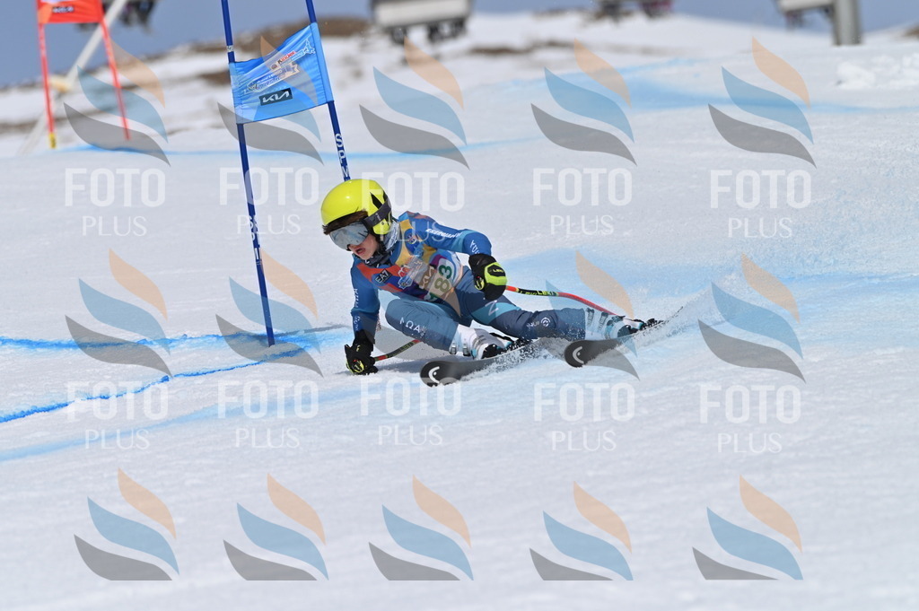 BGV_3586 | holidayphoto